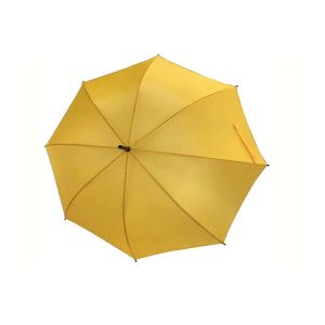 Diameter 103CM Promotional Auto Open Stick Umbrella Printed Normal Size