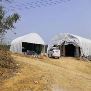 4 Tier 160 Birds / Set Chicken Laying Eggs Cage Automatic Drinking System