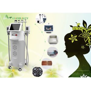 5 Big heads Cavitation+ RF+ Vacuum cryolipolysis slimming machine