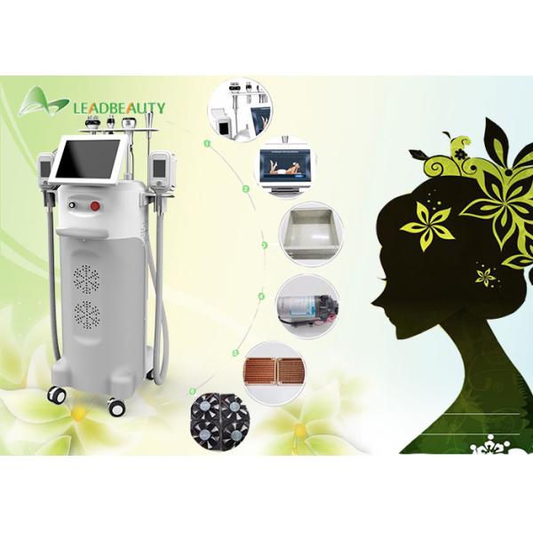 Buy 5 Big heads Cavitation+ RF+ Vacuum cryolipolysis slimming machine at wholesale prices