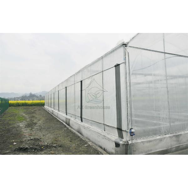 Greenhouse Cover Transparent Plastic PE Film