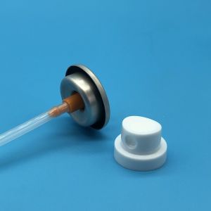 Professional Skincare Spray Valve for Spa Treatments - High-Quality