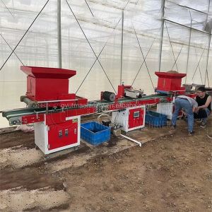 200 KG Full Automatic Seedling Machine for Lettuce Seeds Tray Key words Nursery