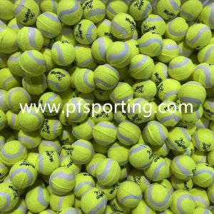 Hot Sales Interactive Automatic Pet Tennis Ball Launcher Dog Toy Tennis Balls