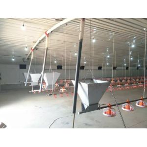 Chicken Farm Chain Automatic Pan Feeding System 1 Phase