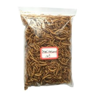 Quality Dry And Cool Place Storage Mealworms Fish Food Feeding Pet for sale