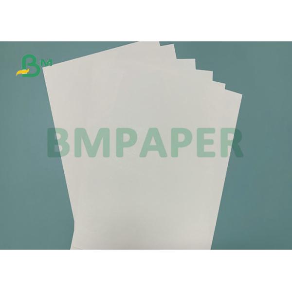 Cup And Bowl Raw Material PE Coated Kraft Paper 190 - 210gsm Cup And Bowl Raw Material PE Coated Kraft Paper 190 - 210gsm