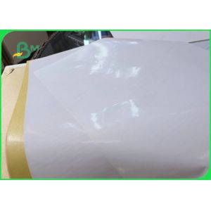 Biodegradable Single PE Laminated Coated Paper Jumbo Roll For Food Wrapping