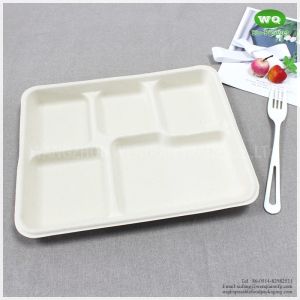100% Biodegradable Sugarcane Pulp 5 Compartments Tray-High quality Biodegradable