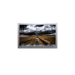 China AA084VM11 8.4 inch 640*480 TFT LCD Display Screen Module TFT LCD Panel on sale