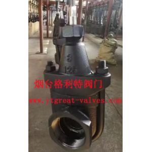 cast iron clip gate valve
