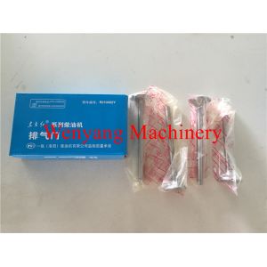 original YTO engine spare parts YTR4105 Exhaust valve R010002