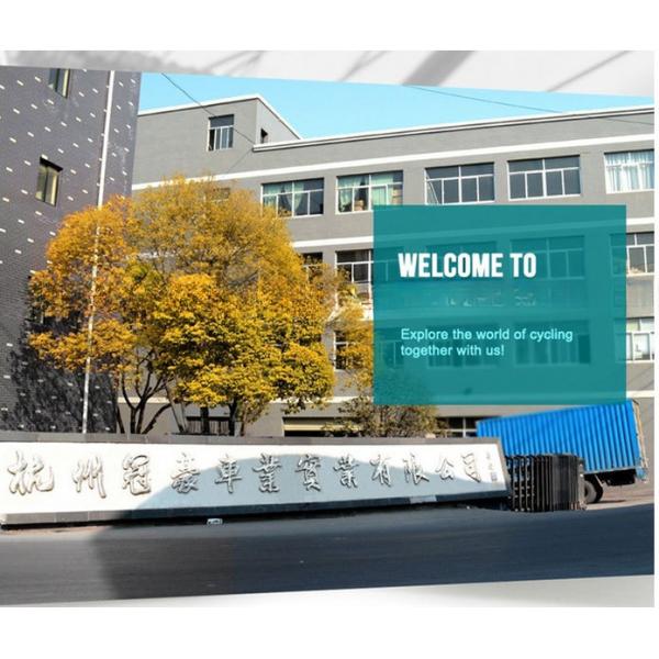 20 Inch Steel Material Frame Chopper Bike with F Disc Brake and R Coaster Brake