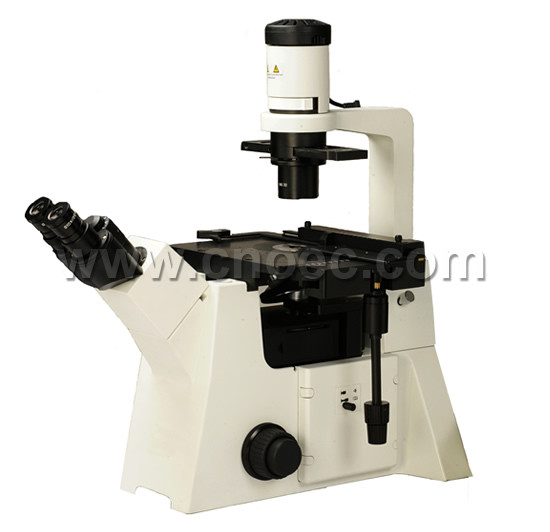 Buy 40X - 1000X Infinity Inverted Halogen Phase Contrast Microscope  A19.2703 at wholesale prices