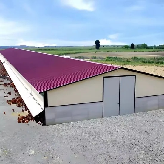 Steel Poultry Farm House Design Prefabricated Steel Structure Chicken Farm
