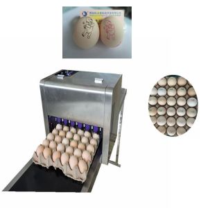 High Resolution Food Inkjet Printer , Eggs Expiry Date Printing Machine