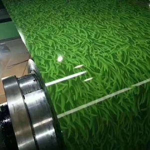 Zinc Coated Painted Customized Prepainted Galvanized Steel Coil