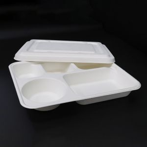 New item Compostable bagasse oblong 5 section compartment dinner Plate