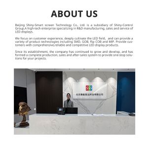 Rugged COB LED Screen Led Display Soft Module P1.5 P2 P3 P2.6 P2.9 P3.91