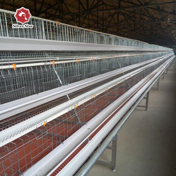 Buy 10000 Layers Egg Battery Chicken Cage In Poultry Farming at wholesale prices