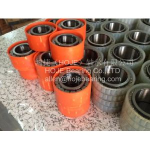 NCF3013V (SL183013) single row full complement roller bearings