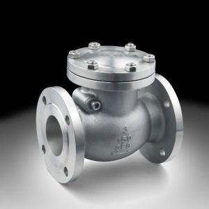 Swing Type Check Valve