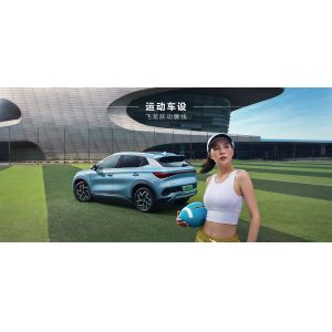 BYD Yuan PLUS 510KM Navigation Honor Edition