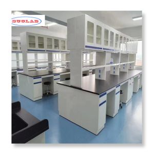 Customizable Lab Wall Benches - Maximize Efficiency in Your Lab Space