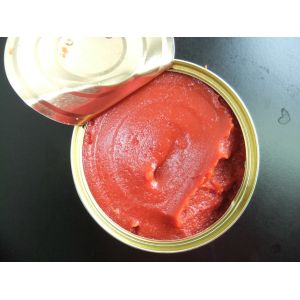 Quality Steamed Processing Canned Tomato Paste Fruit Addtives for Processing for sale