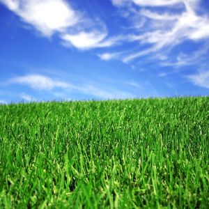 50mm Landscaping Synthetic Artificial Grass For Football Court