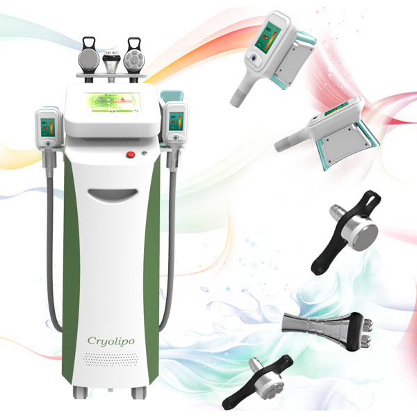 Buy New designed 2014 cryolipolysis body slimming beauty machine ,professional supplier at wholesale prices
