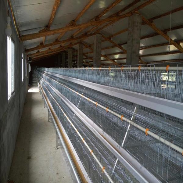 Buy 4 Layers / Cell Chicken Poultry Cage Automatic Ventilation Cooling System at wholesale prices