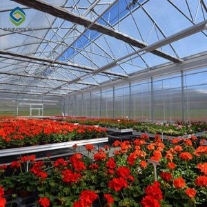 Arch Roof 10.8m PC Sheet Greenhouse Flower Growing