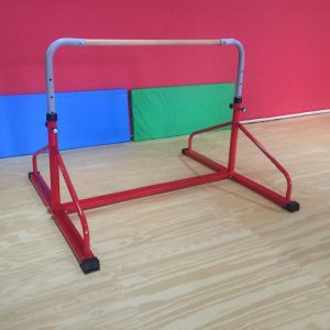 China Hot sale low price outdoor uneven bar  Health Product  Gymnastics on sale