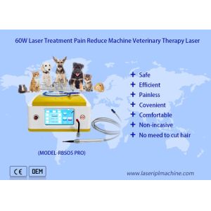 China 980nm Diode Veterinary Laser Therapy For Pets Wound Healing on sale