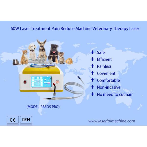 Portable Diode 980nm Laser Spider Vein Removal Machine / Vascular Laser Machine