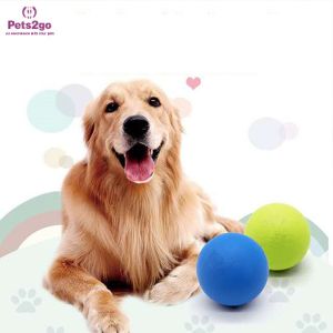 Customized Logo Printing Interactive 64mm Pet Chew Toys