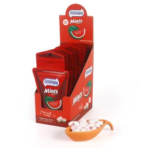 Compressed Candy Sugar Free Mints Portable Pack With Zipper Fruit Flavors