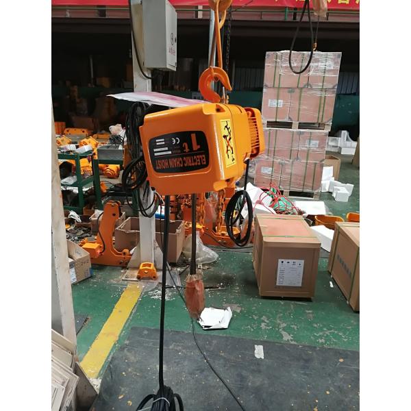 Lifting Goods Stainless Steel Chain Hoist Leading Crane With Customized Color