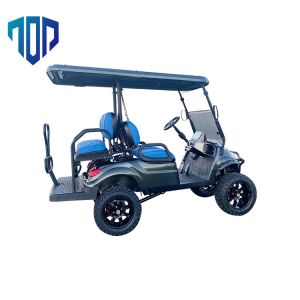 48V 60V 72V Disc Brake Electric Golf Cart With RGB Light