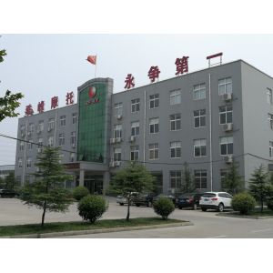 Engine 200CC 3 Wheeler Gas Motorized Tricycle