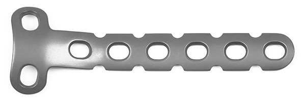 Buy Plate and Screw  Reconstruction T-Plates Lower Limbs Titanium Implate at wholesale prices