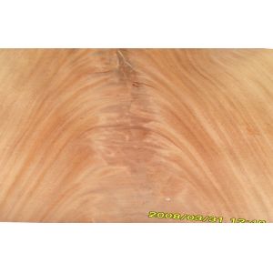 Dard Red Crown Cut Veneer Mohagany Crotch , Natural Wood Veneer