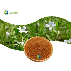 High Quality Bacopa Monnieri Extract 50% Bacopasides Powder