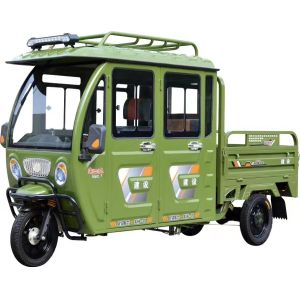 Closed Cabin 330kg 800 Watt Cargo Electric Tricycle