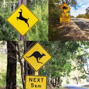 Custom Australian Animal Deer Camel Kangaroo Crossing Reflective Caution Sign