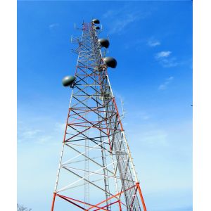 30 Meter GSM Antenna Fake Palm Tree Cell Phone Tower