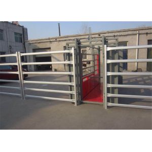 Oval Pipe Antirust Painted Cattle Yard Panels , Durable Portable Sheep Yard