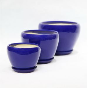 Stunning Plant Display With Our Ceramic Pots Affordable Prices