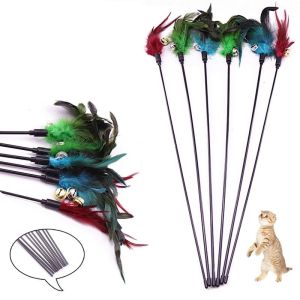 Customized Professional Pet Supplies , Funny Feather Stickers Cat Feather Teaser
